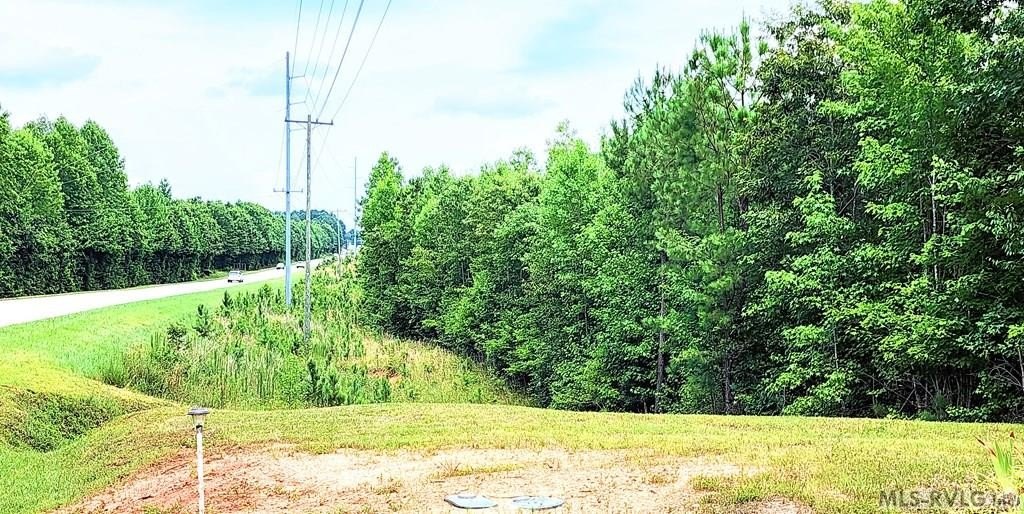 Picture 6