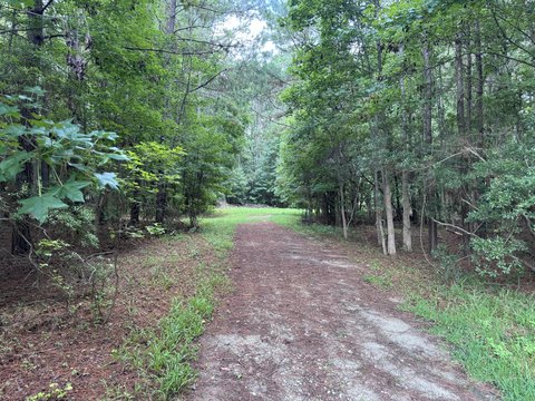 Johns Island Acre Lot
