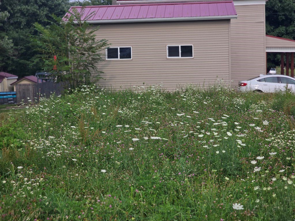 Picture 4