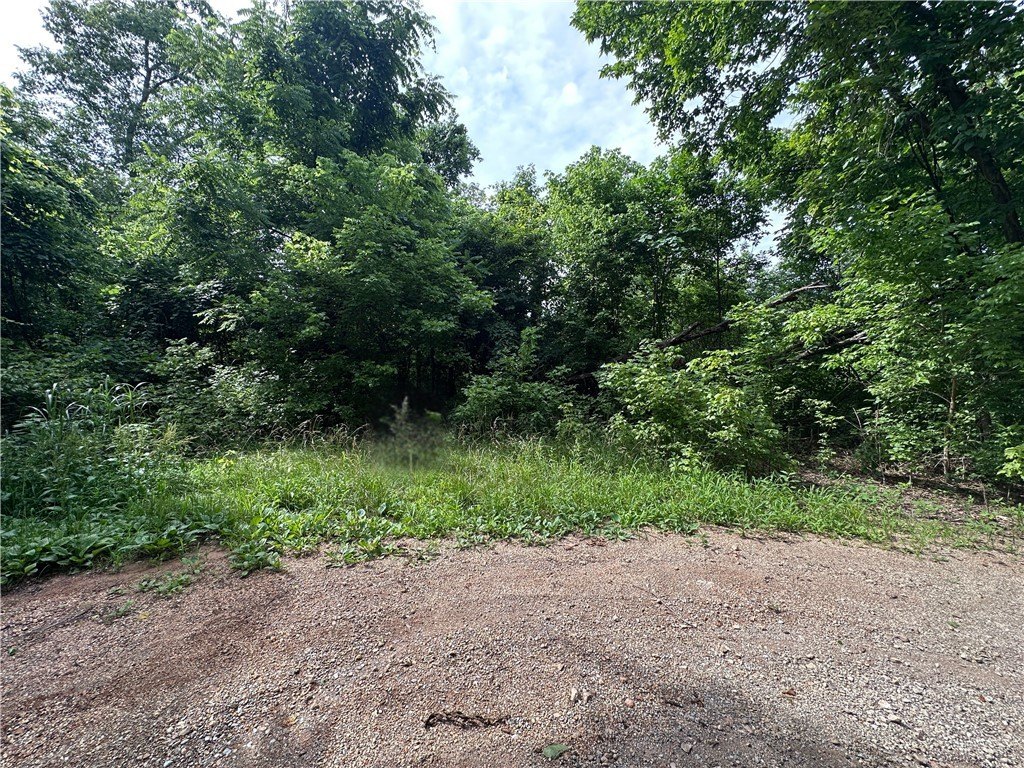 Picture 4