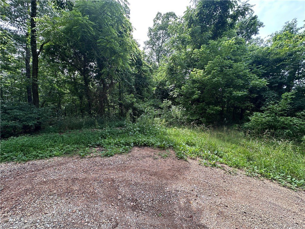 Picture 5