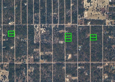 Land, Dunnellon, FL