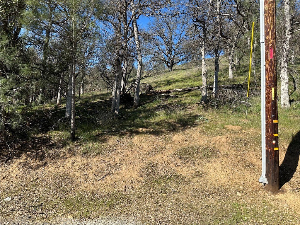 Clearlake Oaks Land For Sale