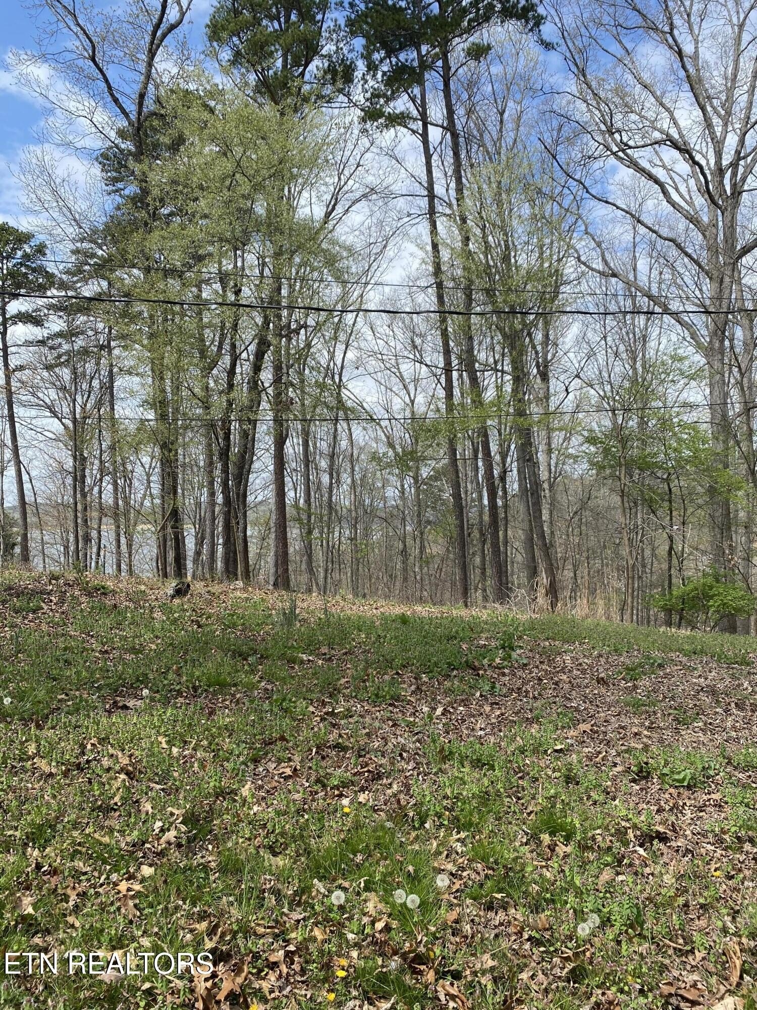 Land in Dandridge, Tennessee