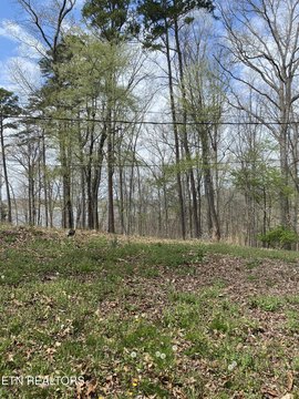 Land in Dandridge, Tennessee