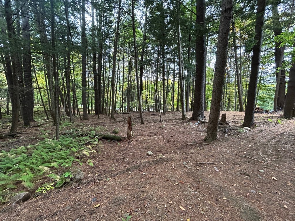 Picture 6