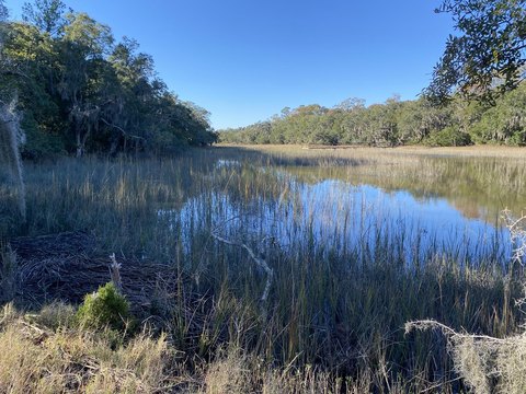 Yonges Island Marshfront Acreage