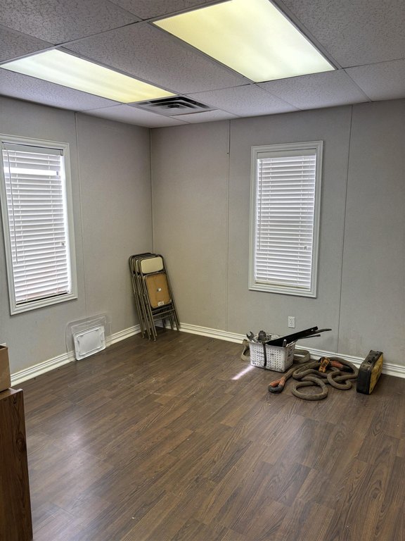 Picture 6