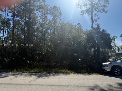 Residential Land in Florida