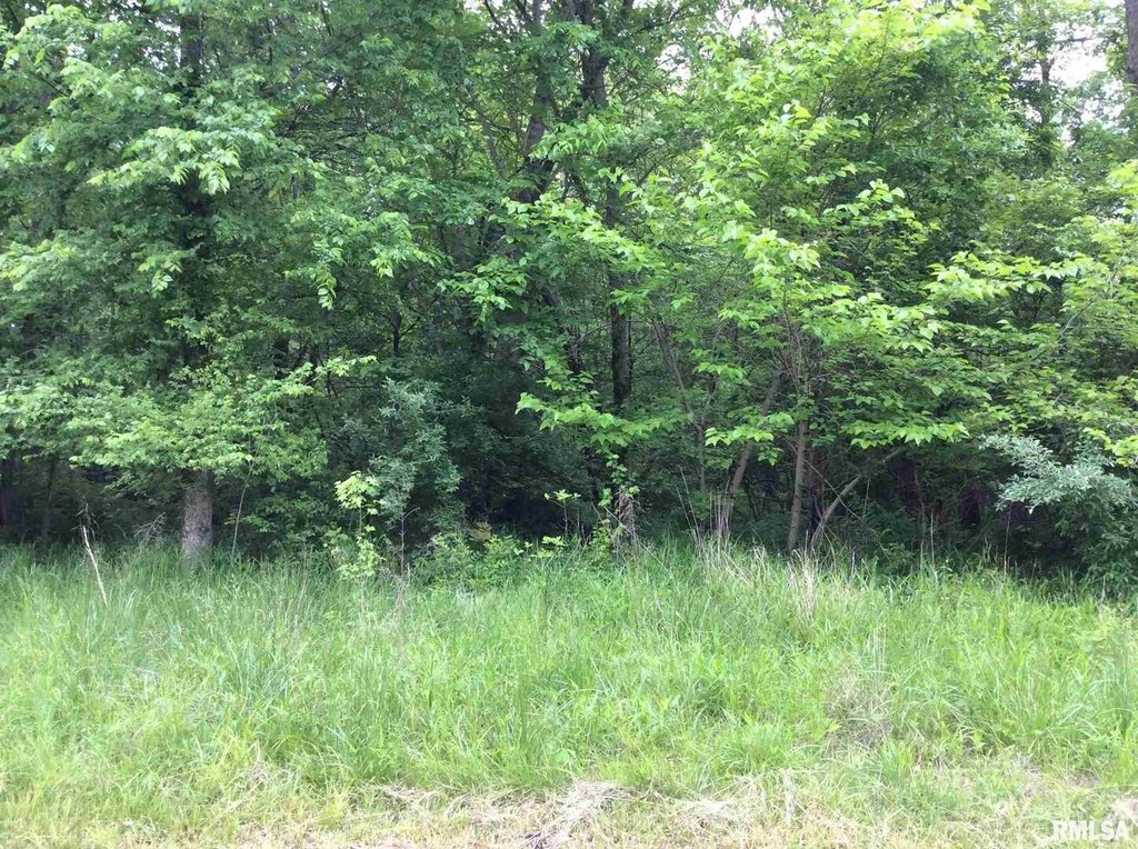 Picture 10