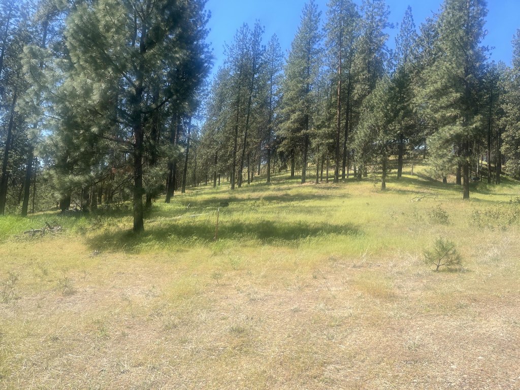 Picture 10