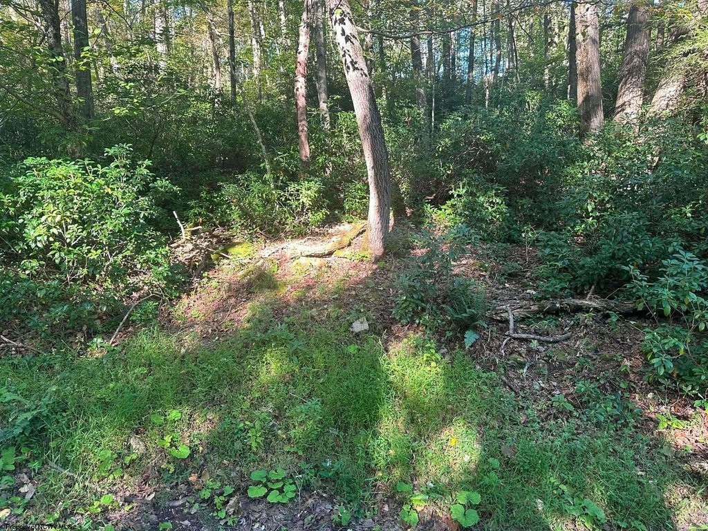 Picture 2