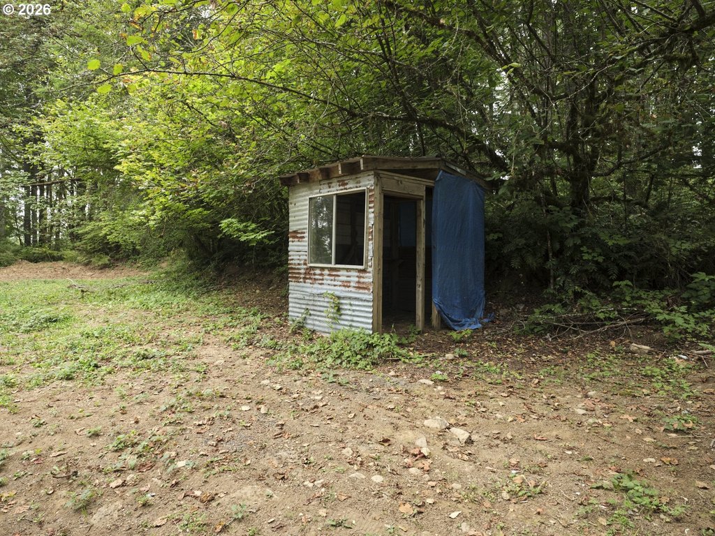 Picture 4