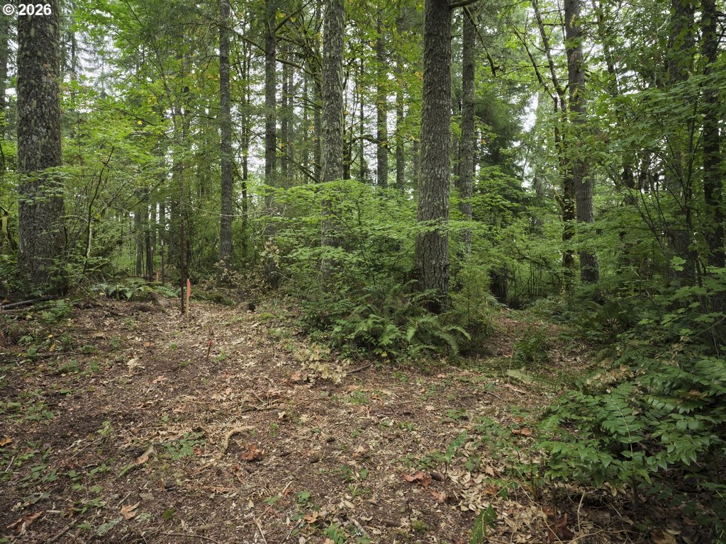 Picture 20