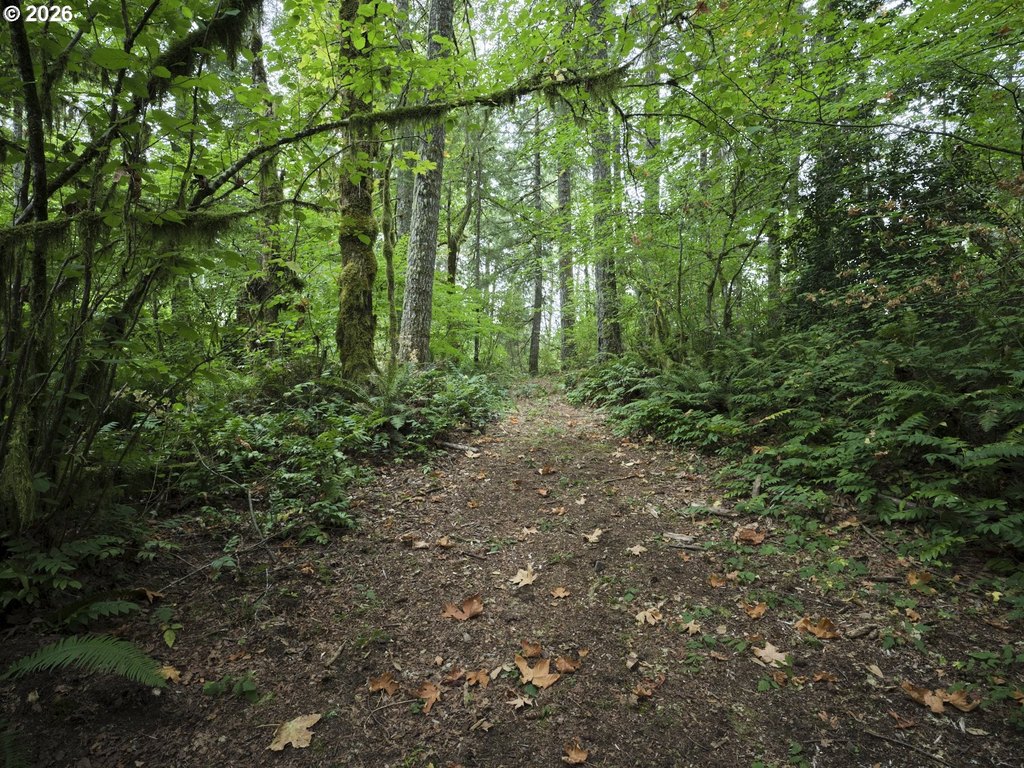 Picture 15