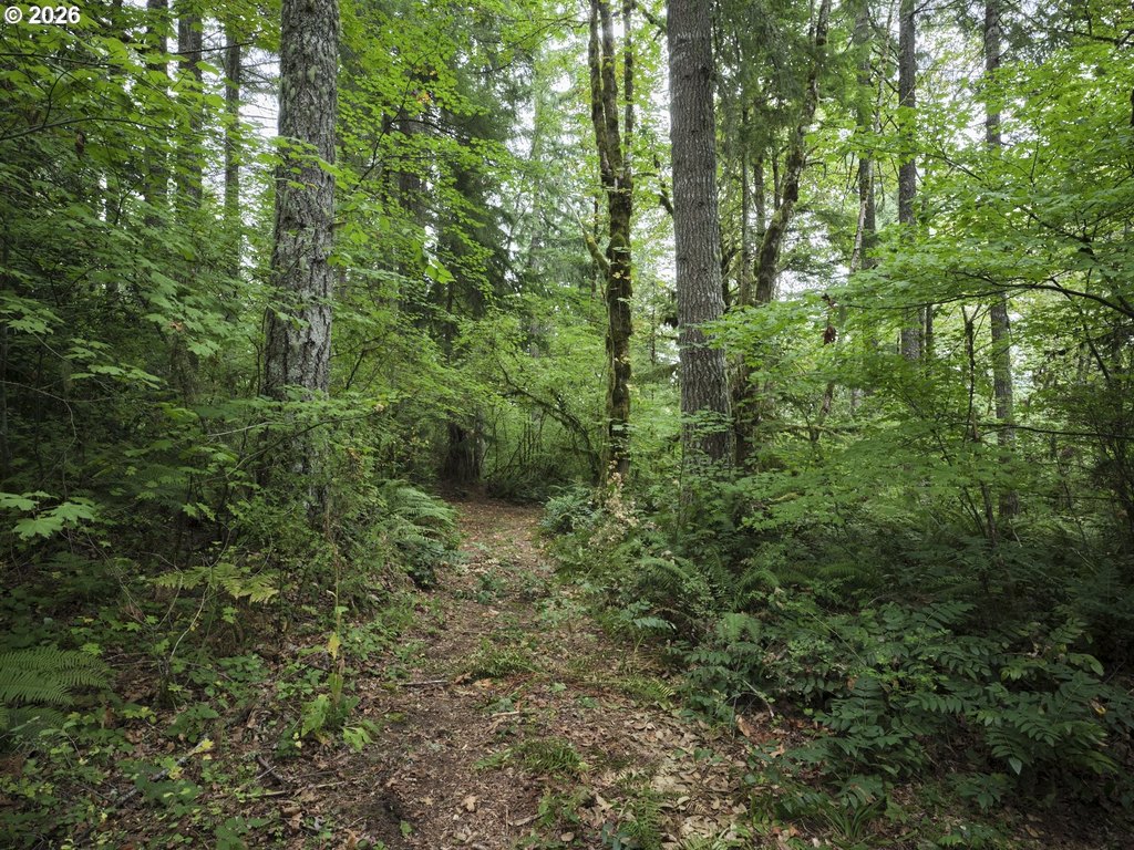 Picture 22