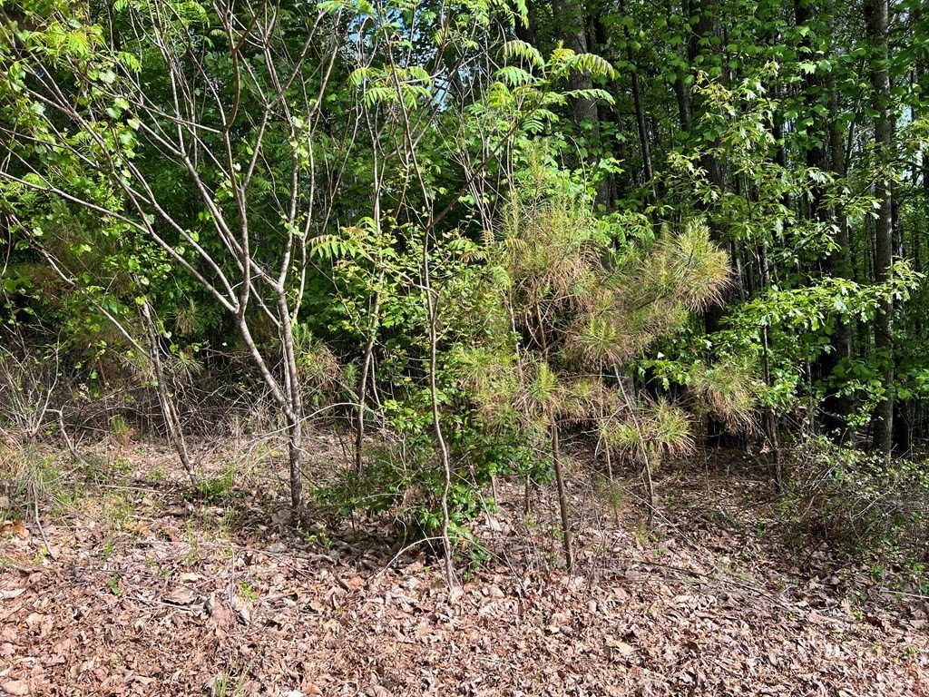 Picture 10