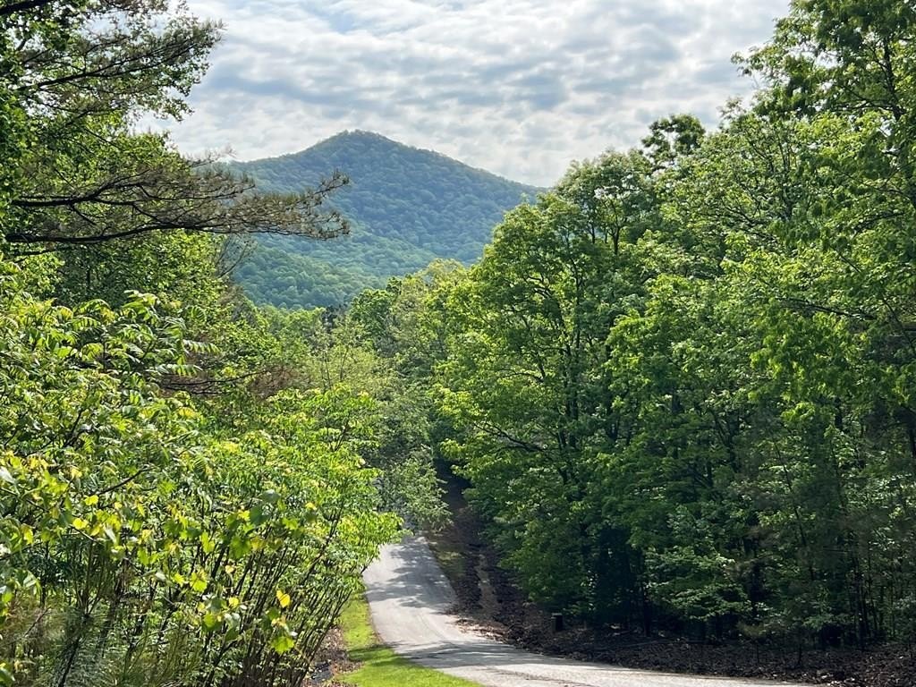 Wooded Lot in North Georgia