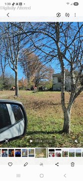 Recreational Land with Cleared Acres