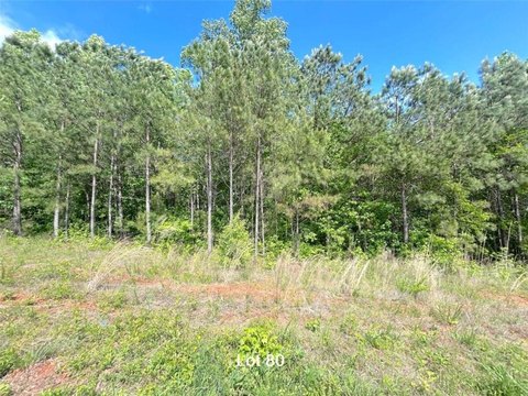 LAND - Temple, GA
