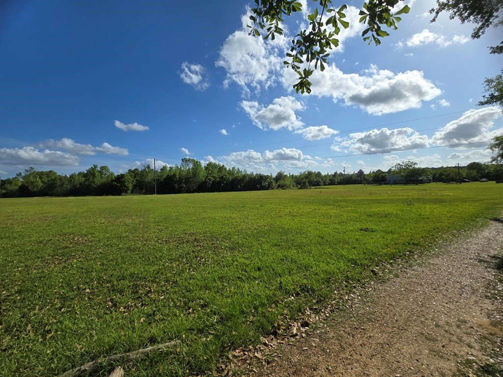 Picture 20