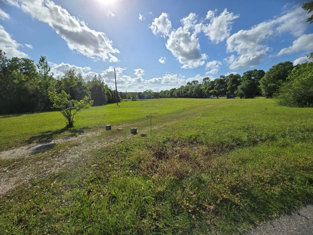 Picture 23