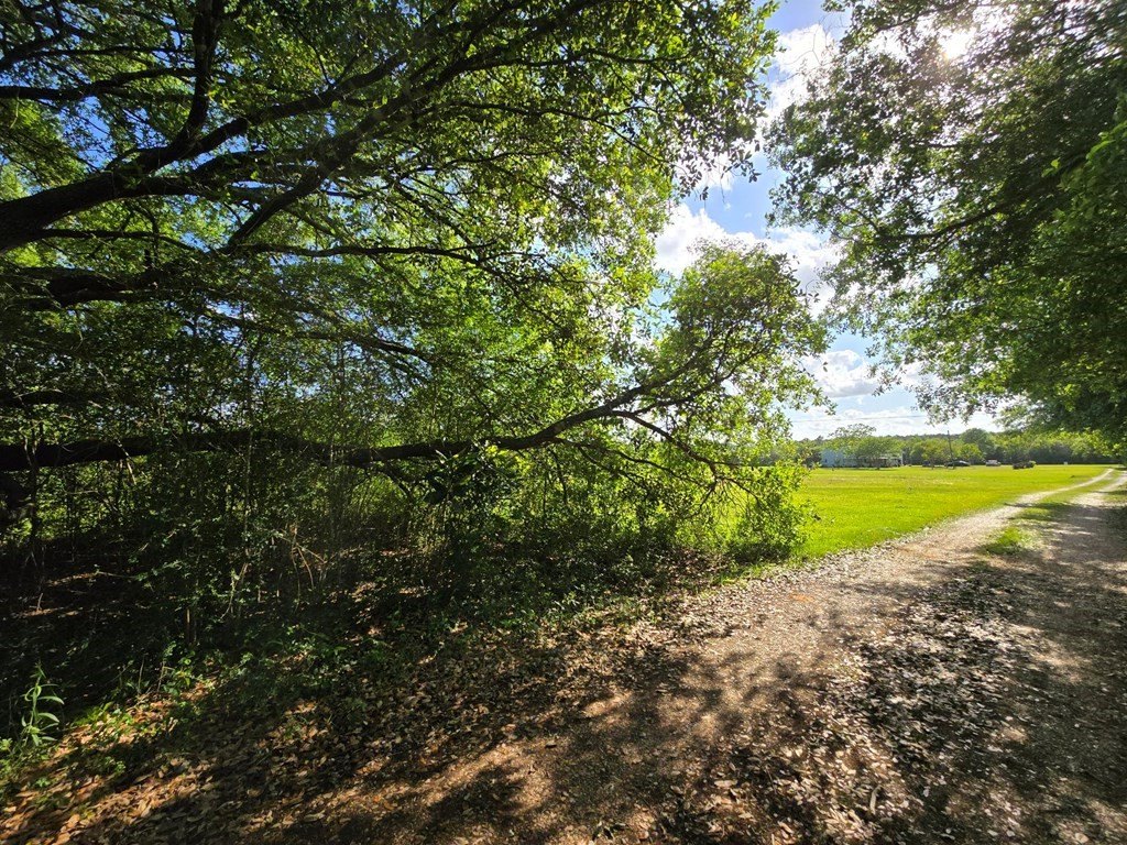 Picture 21