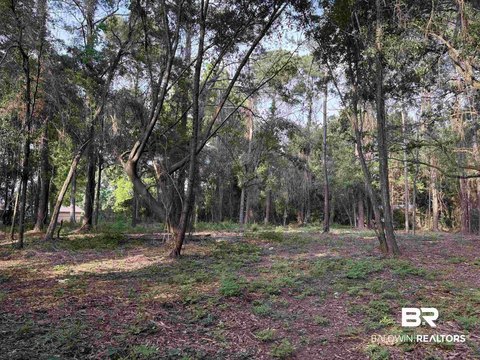 Buildable Lot in Daphne, AL