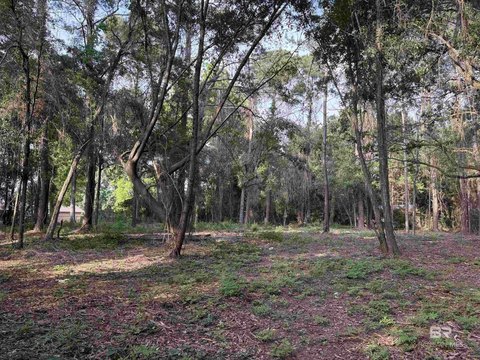 Buildable Lot in Daphne, AL