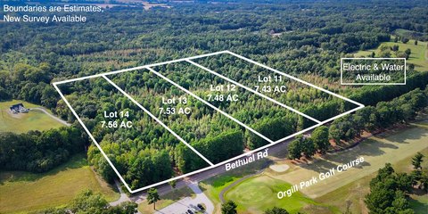 Unrestricted Land Near Orgill Golf