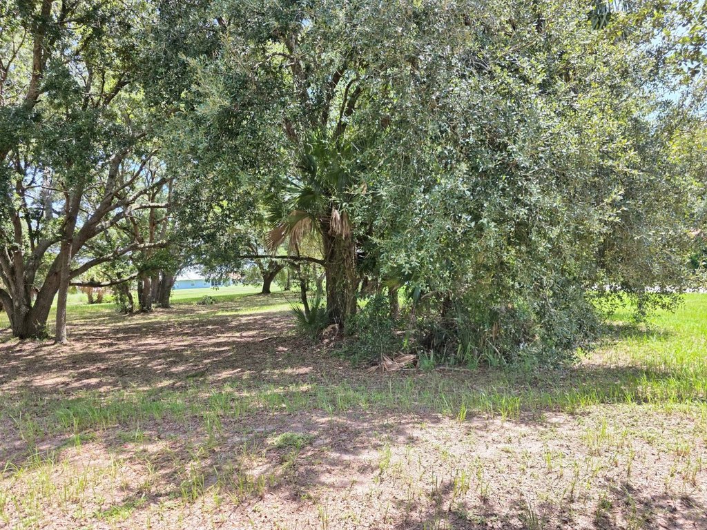 Picture 9