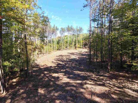 Lots/Land, East Jordan, MI