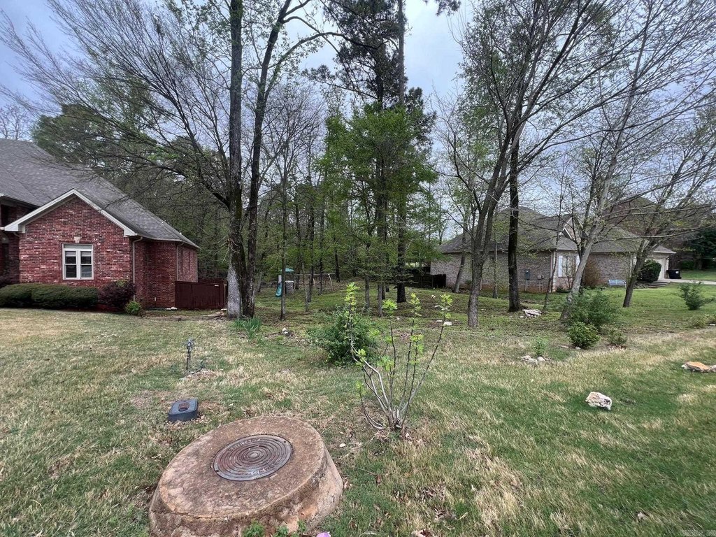 Picture 4