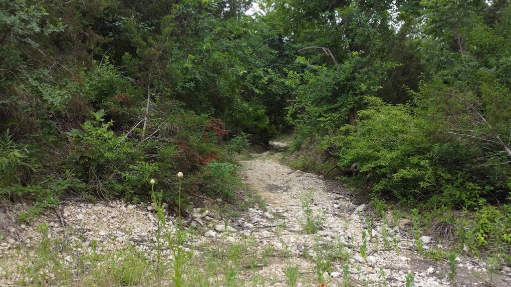 Picture 11