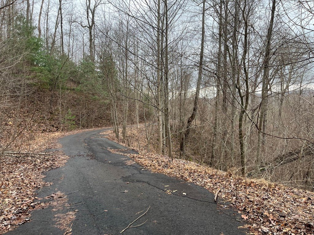 Picture 36
