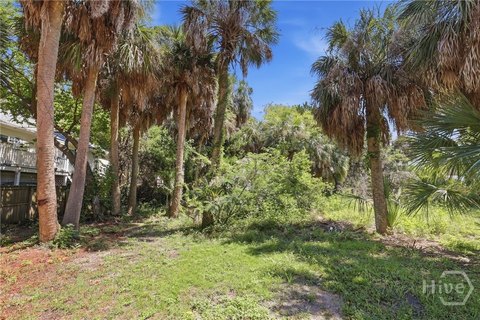 Land, Tybee Island, GA