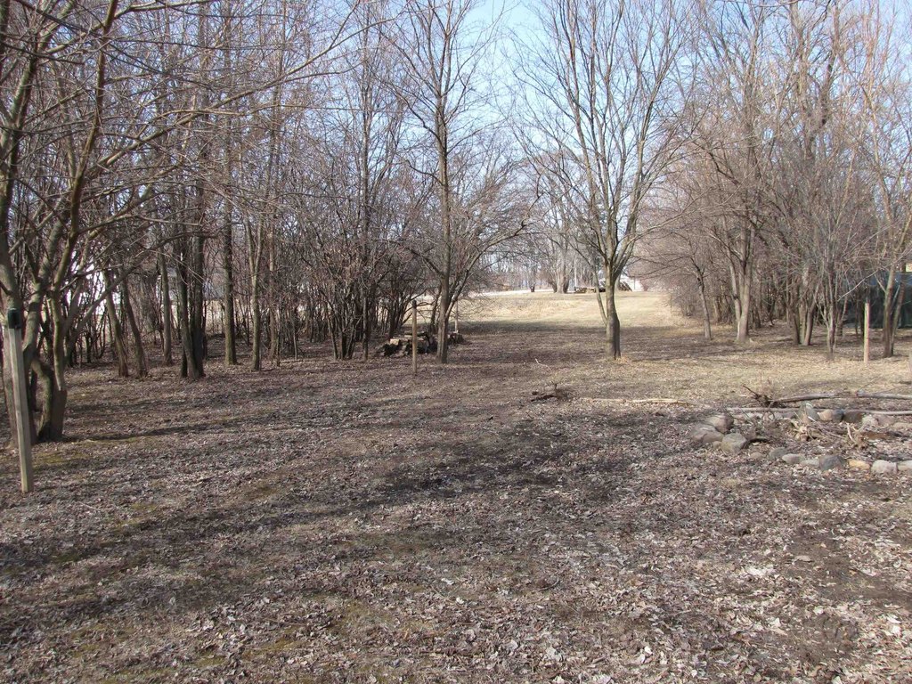 Picture 8