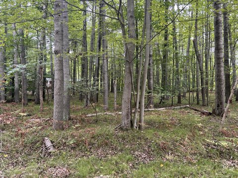 Land, Stanwood, MI