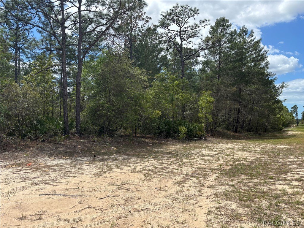 Dunnellon Land: Build Your Dream