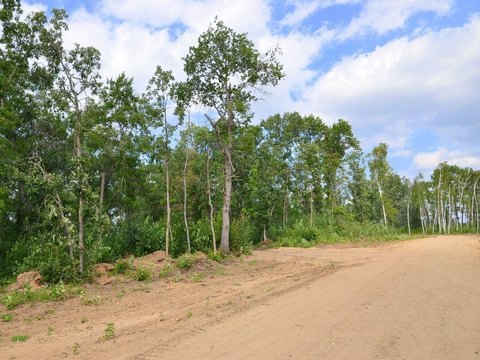 Land, Park Rapids, MN