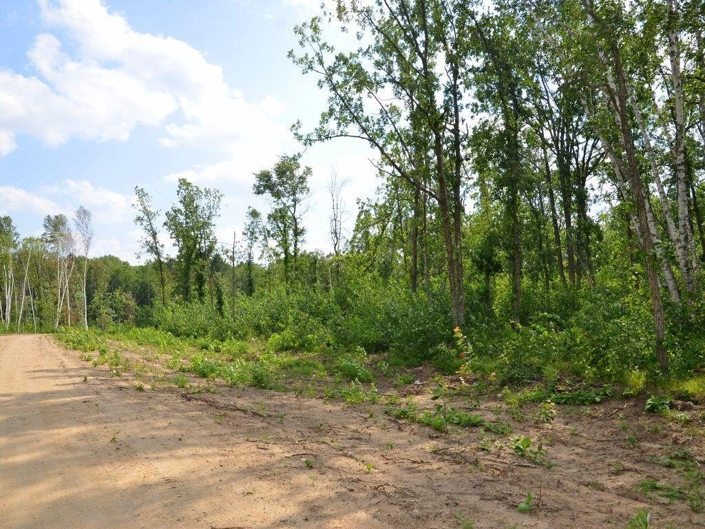 Picture 8