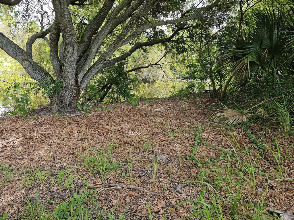 Picture 20