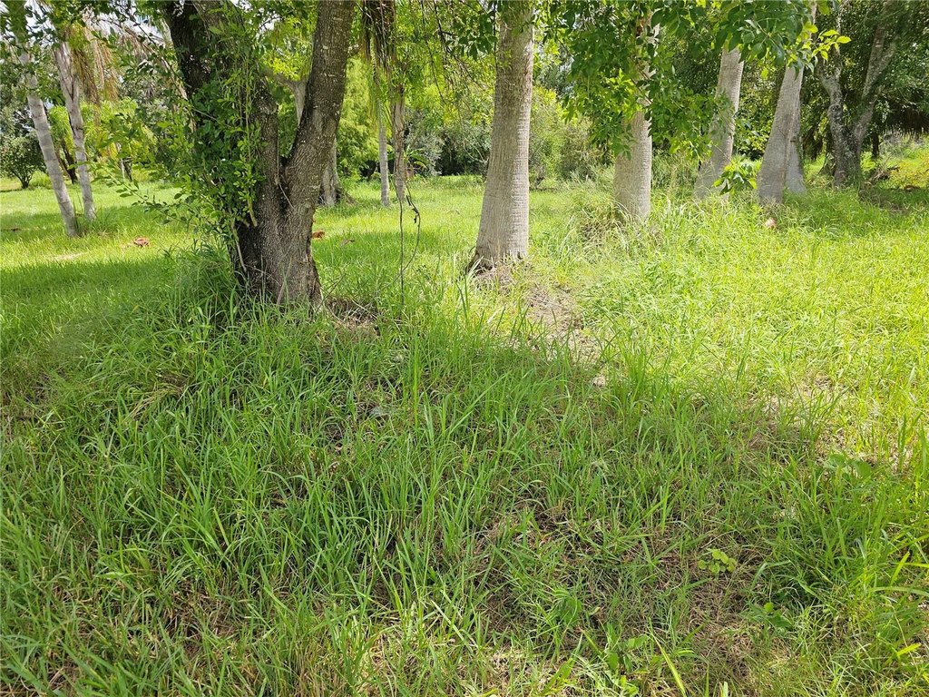 Picture 18