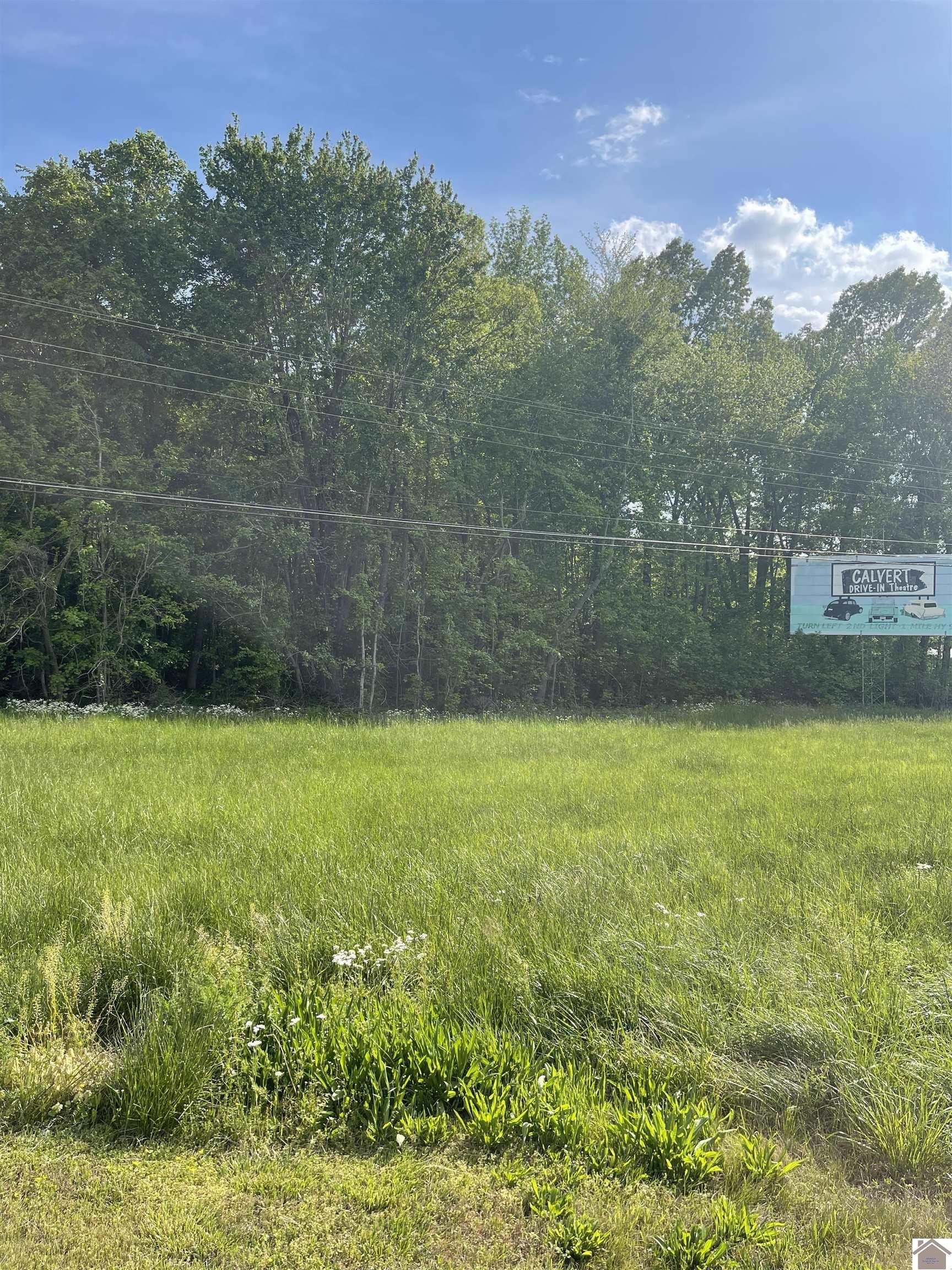 Calvert City Commercial Land For Sale