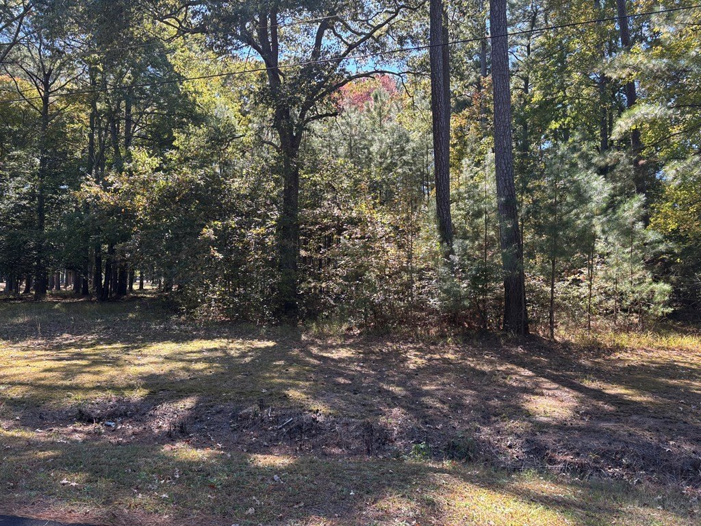 Picture 4