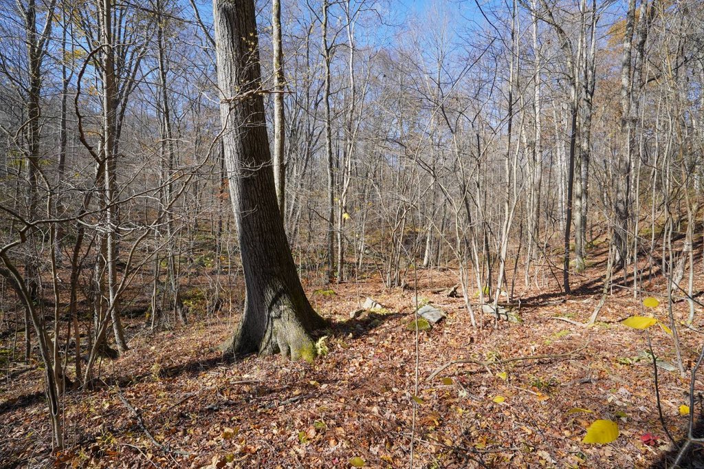 Picture 26
