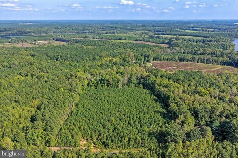 Land, FREEMAN, VA