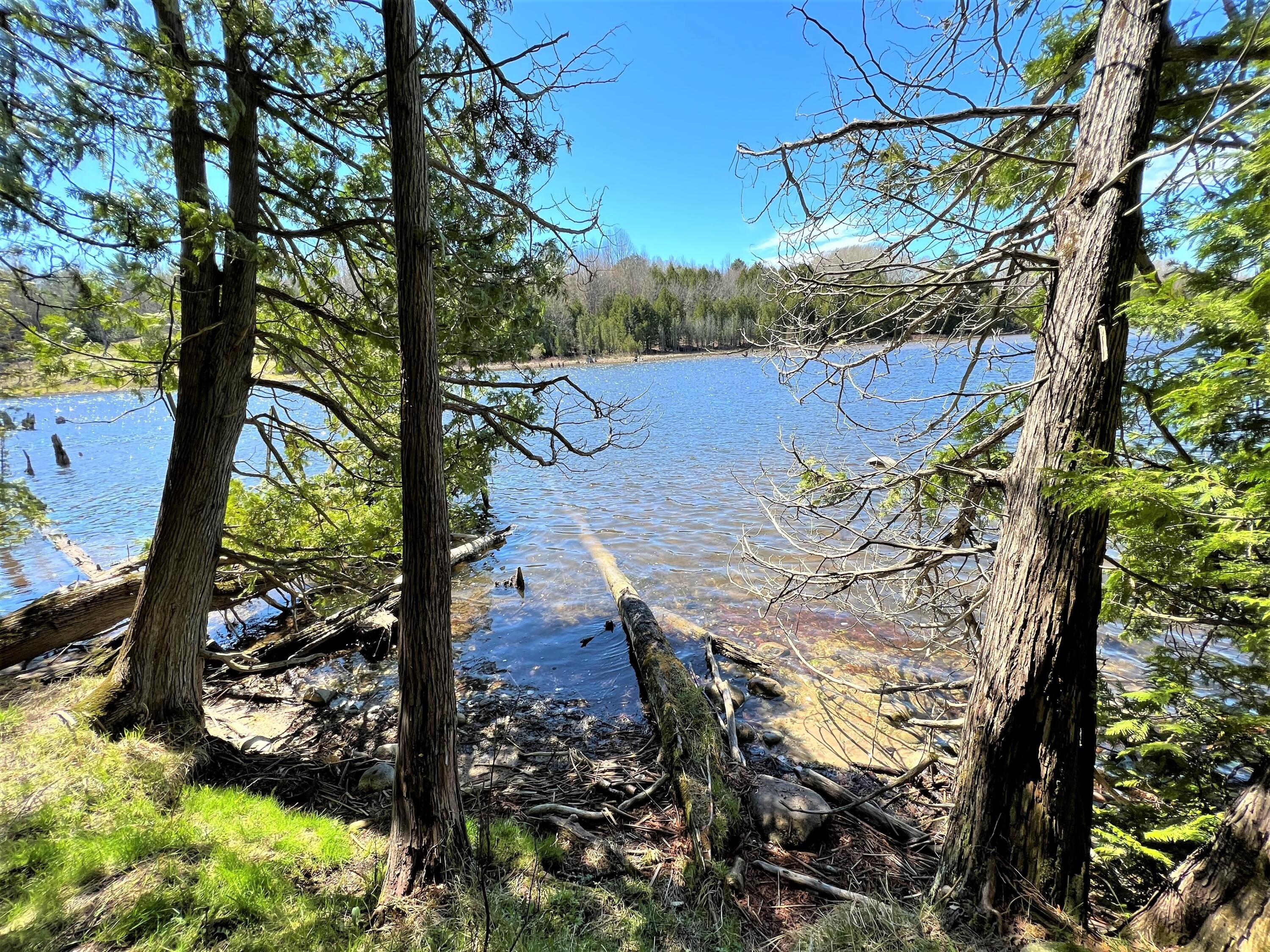 Waterfront Land on Black River