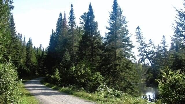 Picture 22