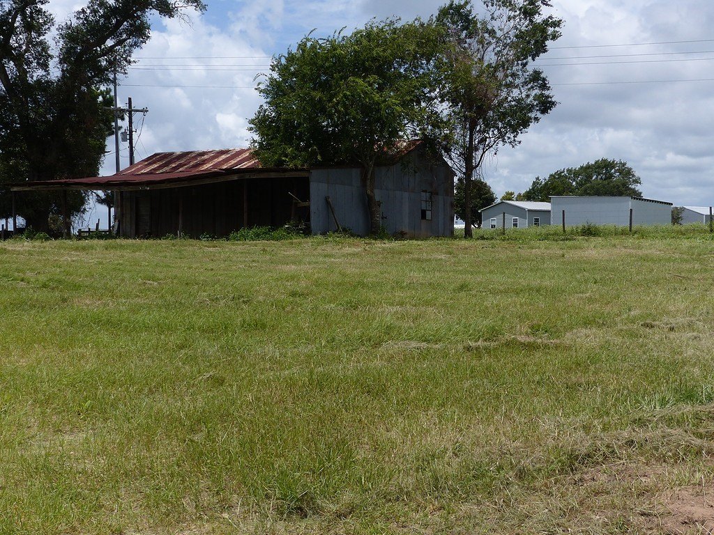 Picture 5